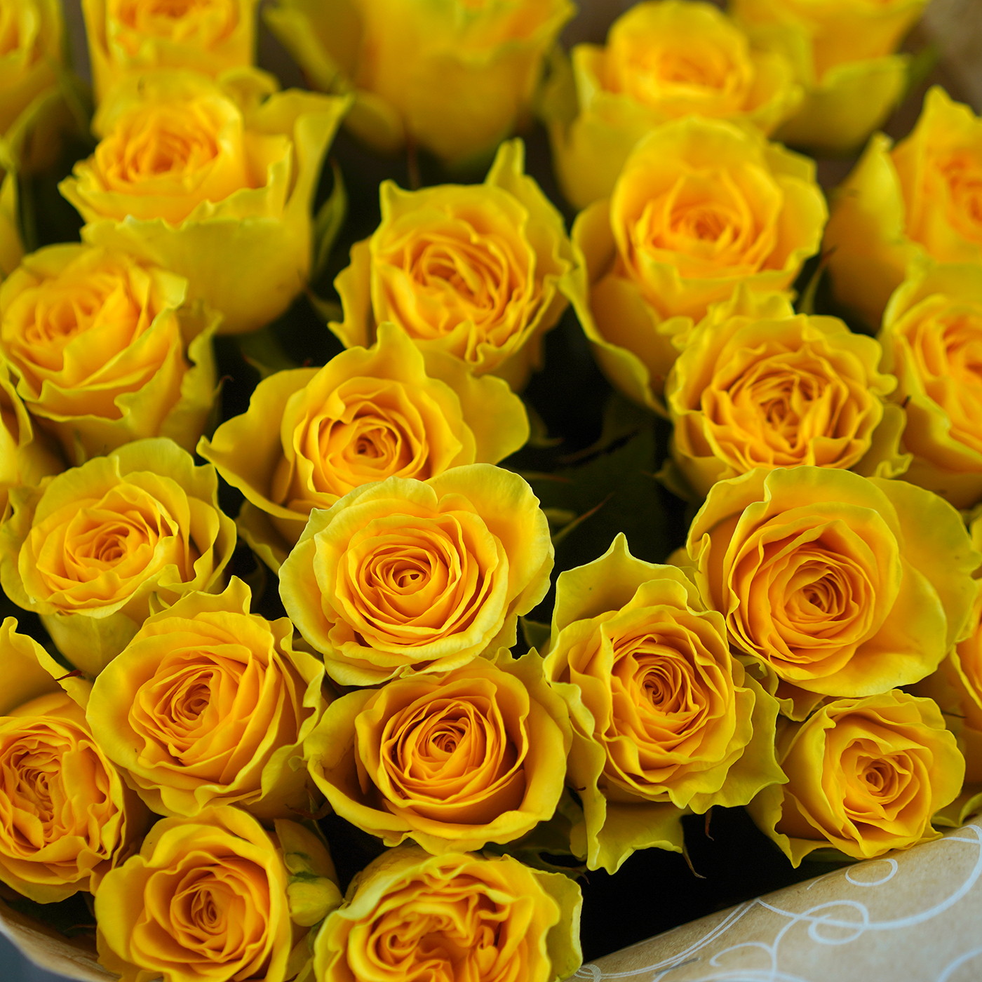 Букет из 31 желтой розы «Лимонный щербет»