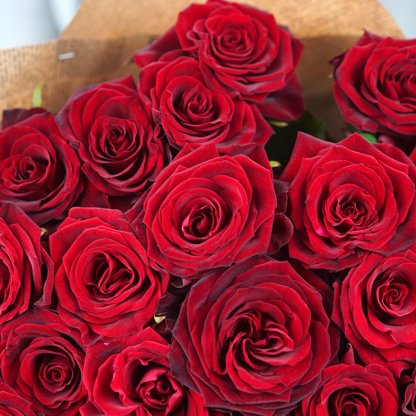 Букет из 31 красной розы «Эсмеральда»