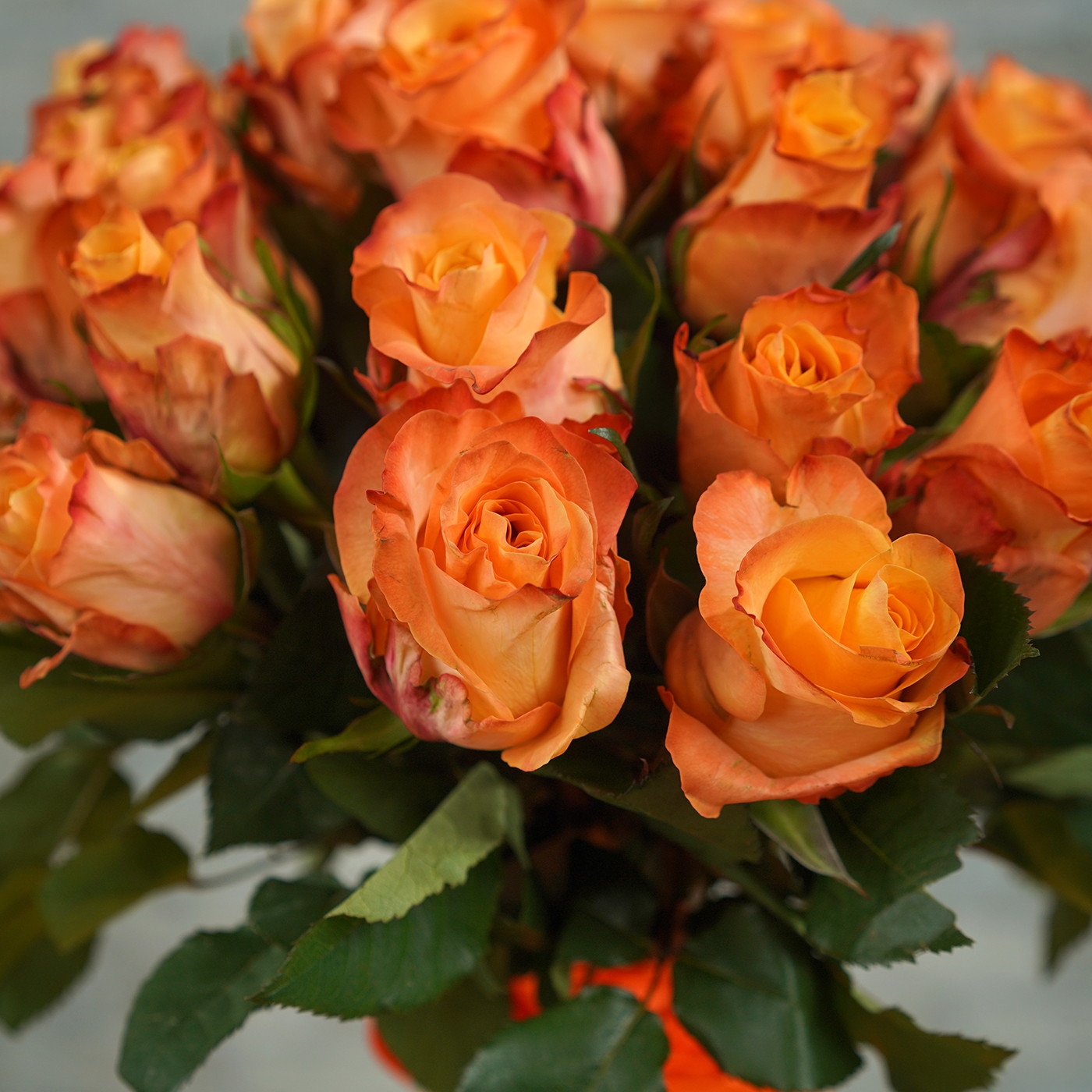 Букет из 35 оранжевых роз «Мэджик»