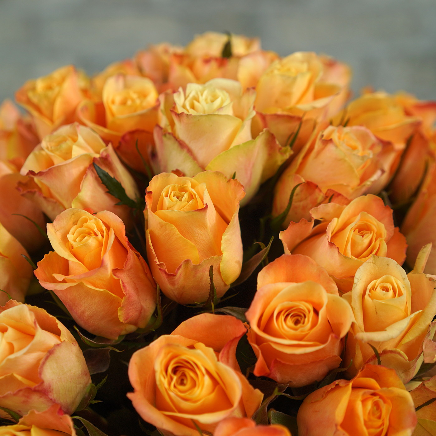 Букет из 101 янтарной розы «Рассвет»