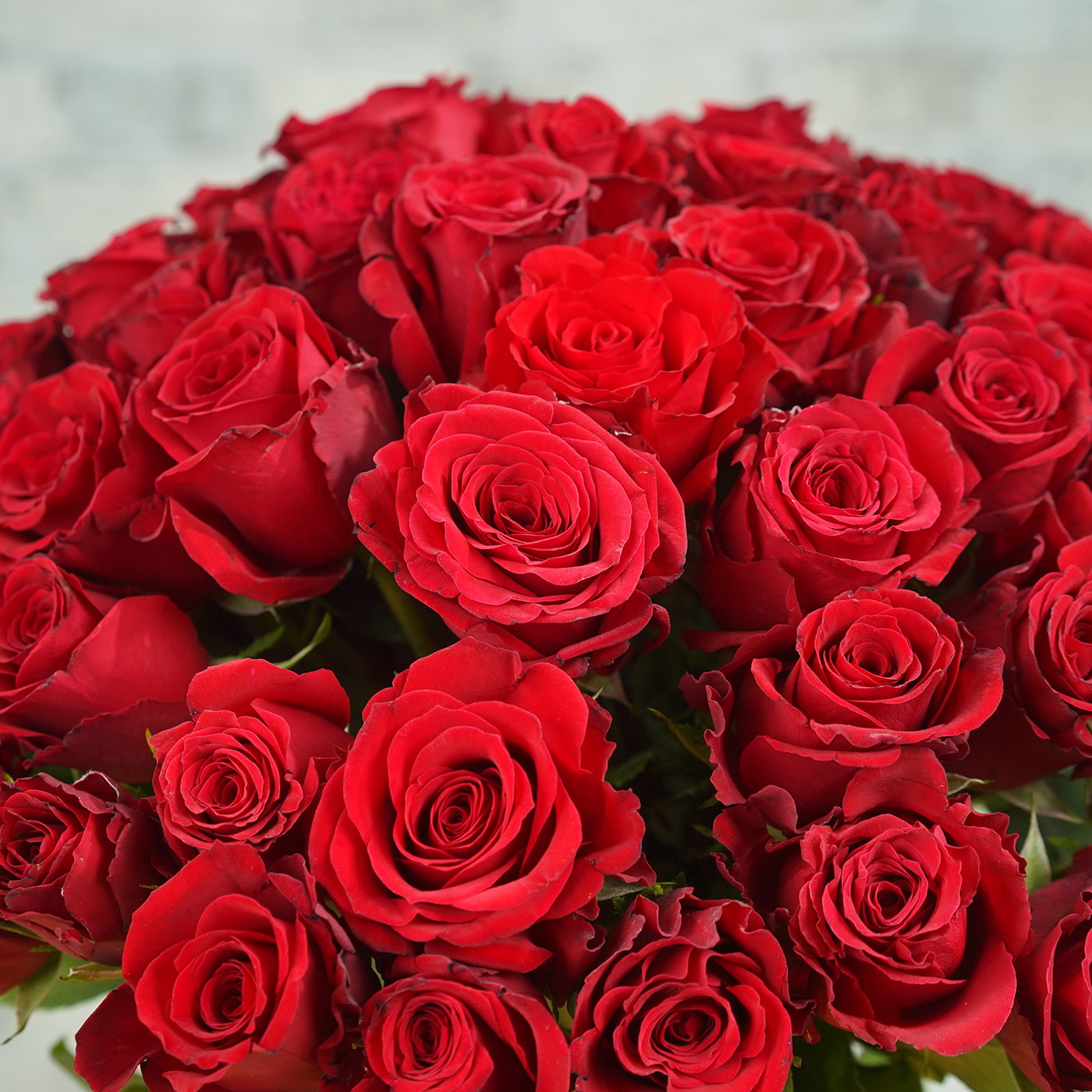 Букет из 51 алой розы «Рубин»