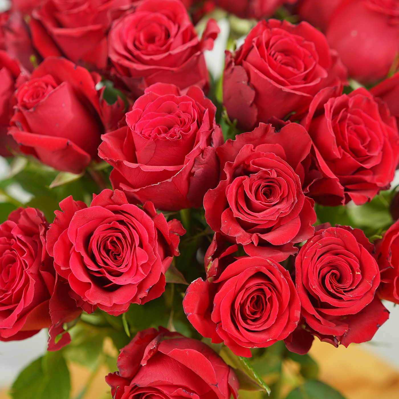 Букет из 35 алых роз «Рубин»