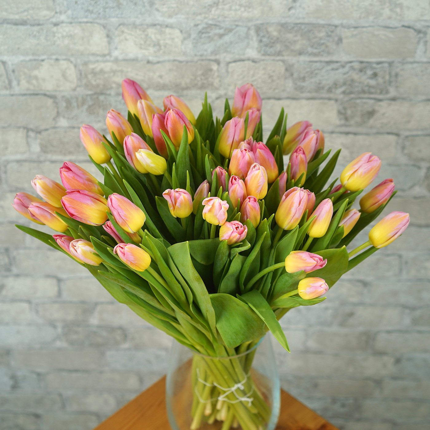 Тюльпан двухцветный «Tom Pouce», Голландия