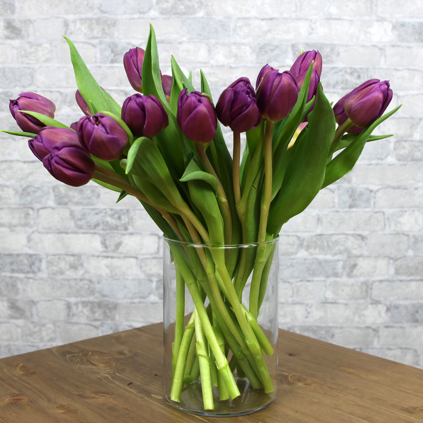 Тюльпан пурпурный «Респектабл», Голландия
