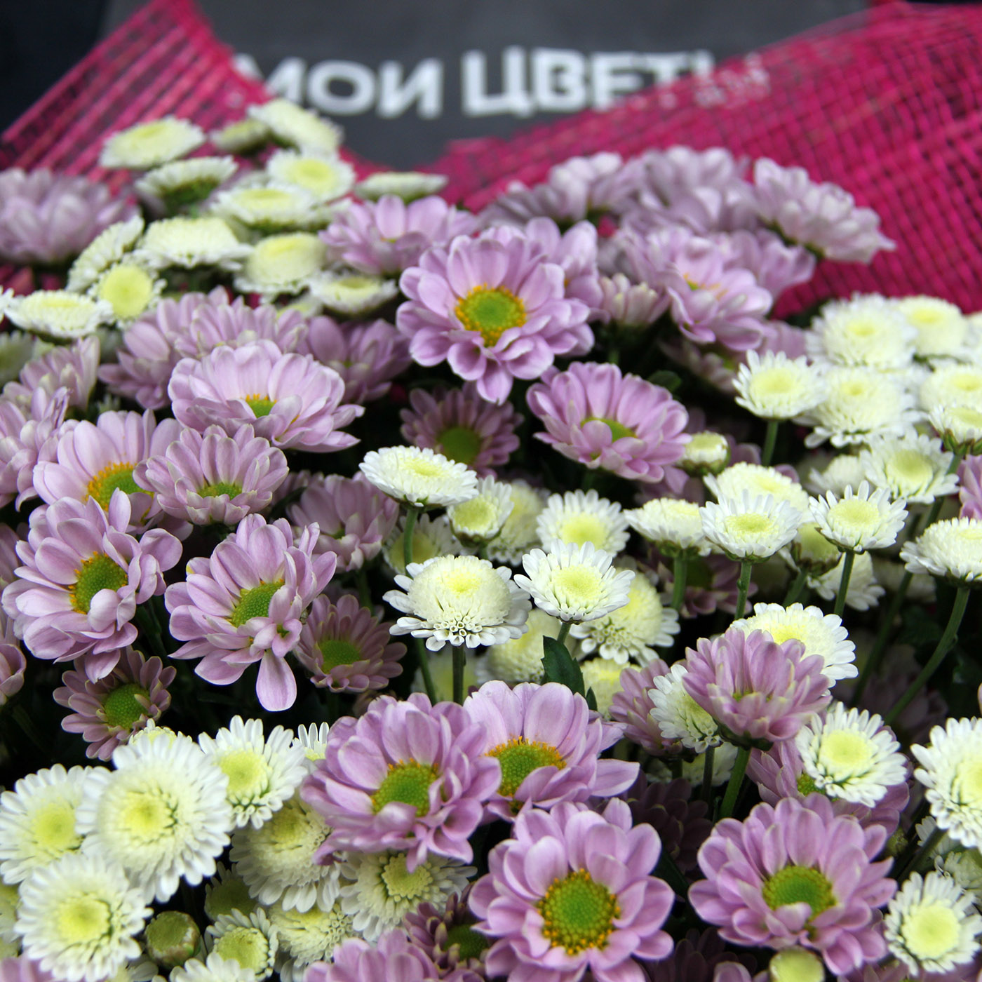 Букет с хризантемой «Ягода в сливках»