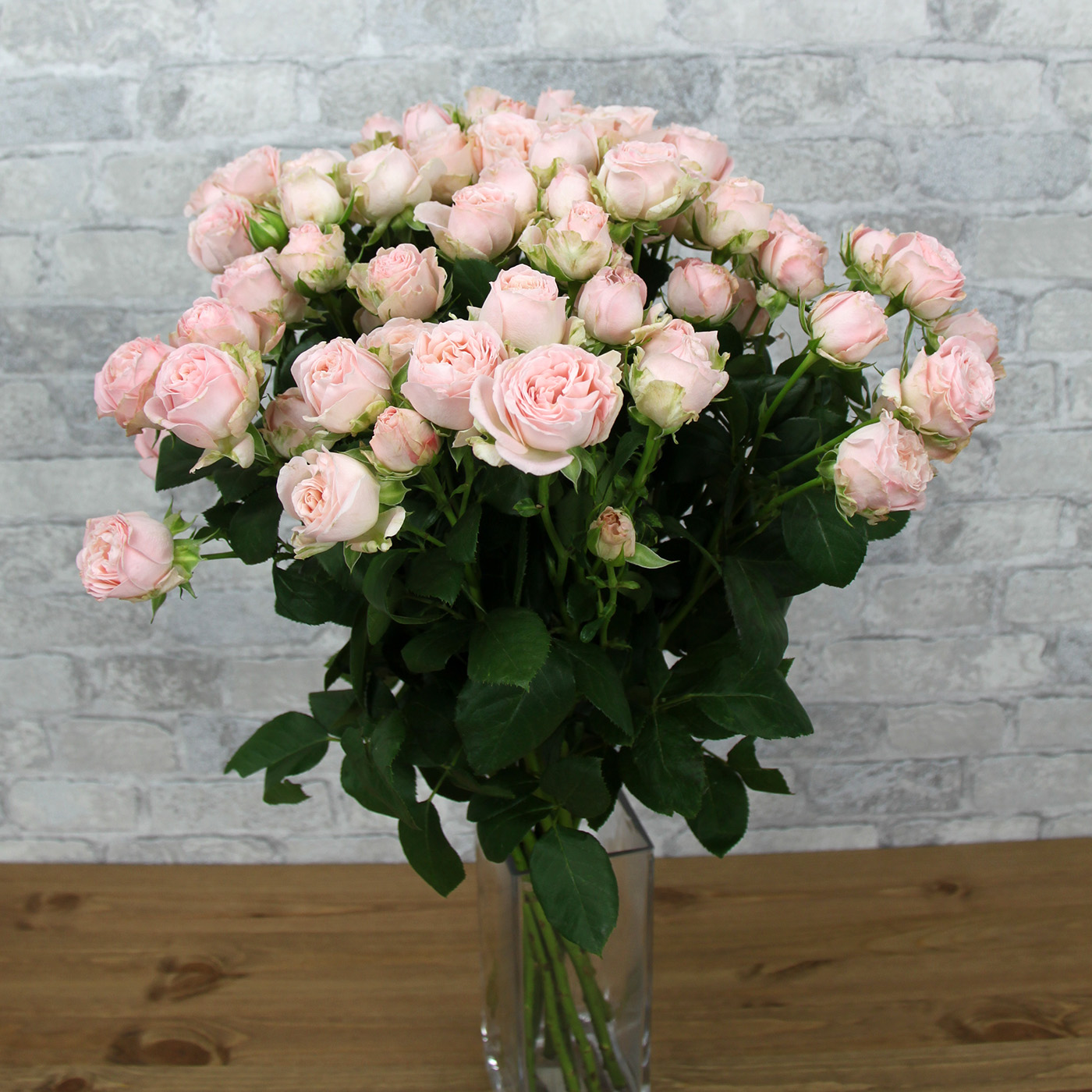 Роза кустовая кремово-розовая
