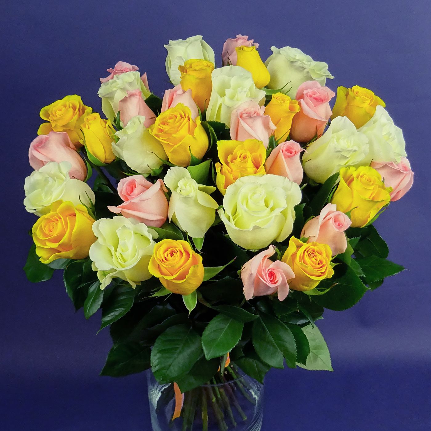 Букет 35 роз "Праздник"