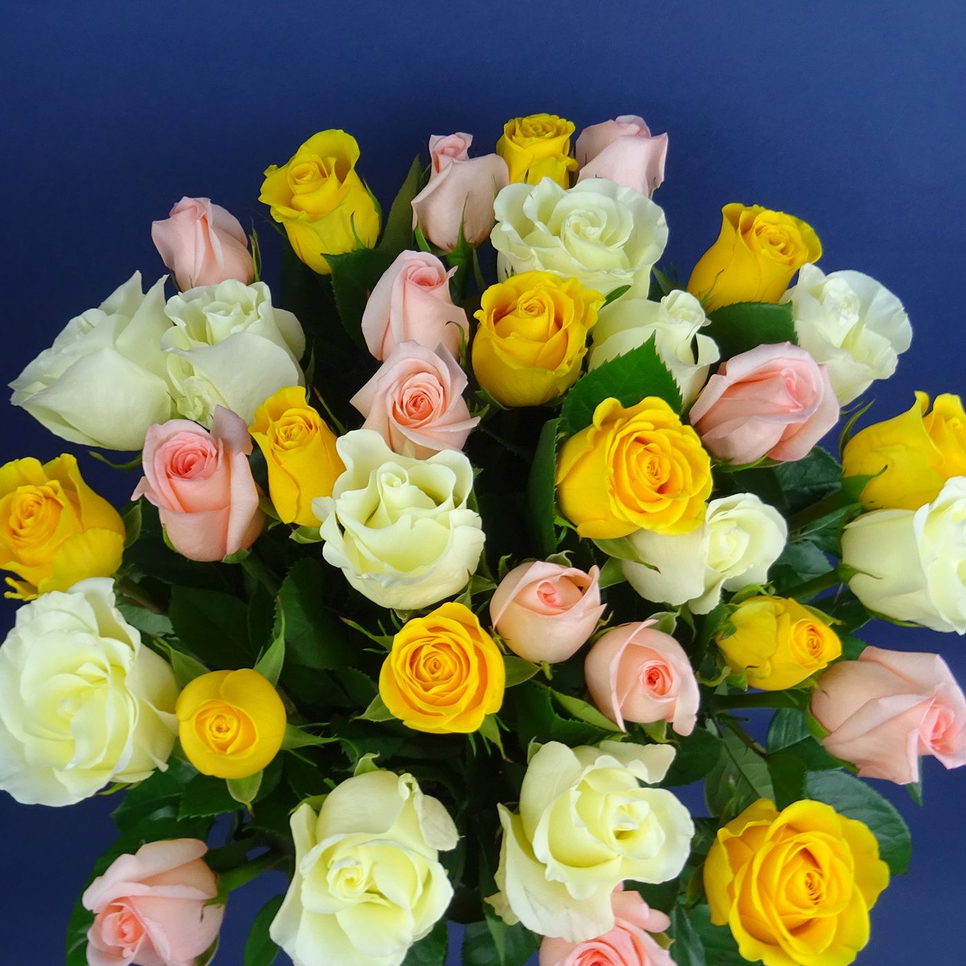 Букет 35 роз "Праздник"