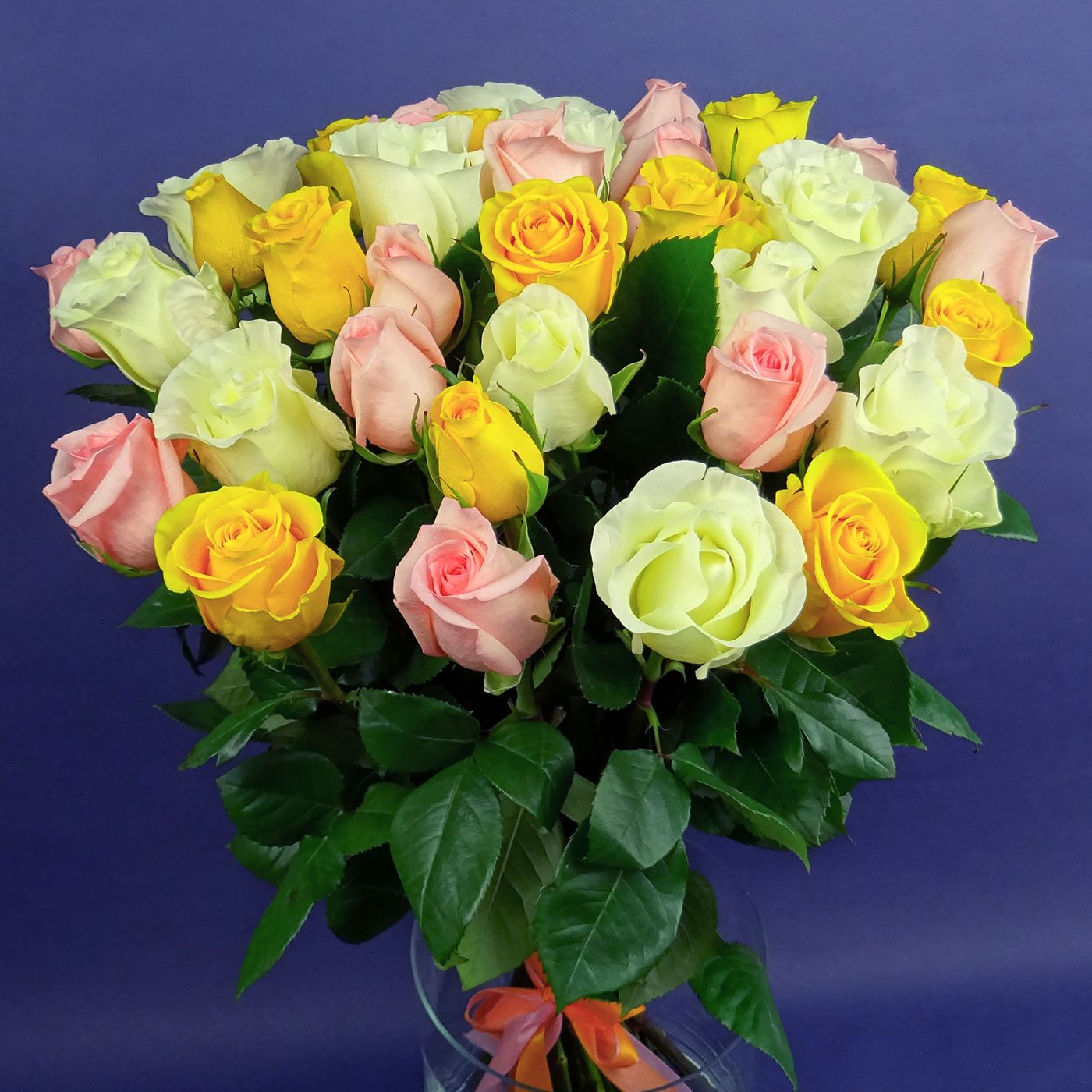 Букет 35 роз "Праздник"