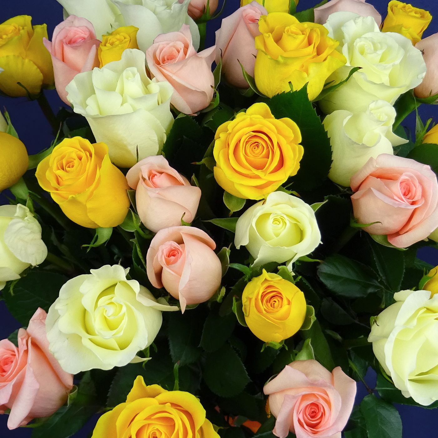 Букет 35 роз "Праздник"