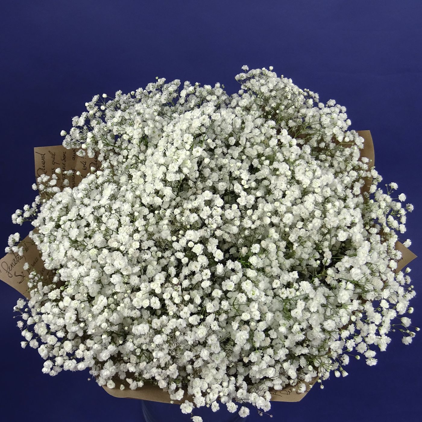 Букет из белой гипсофилы