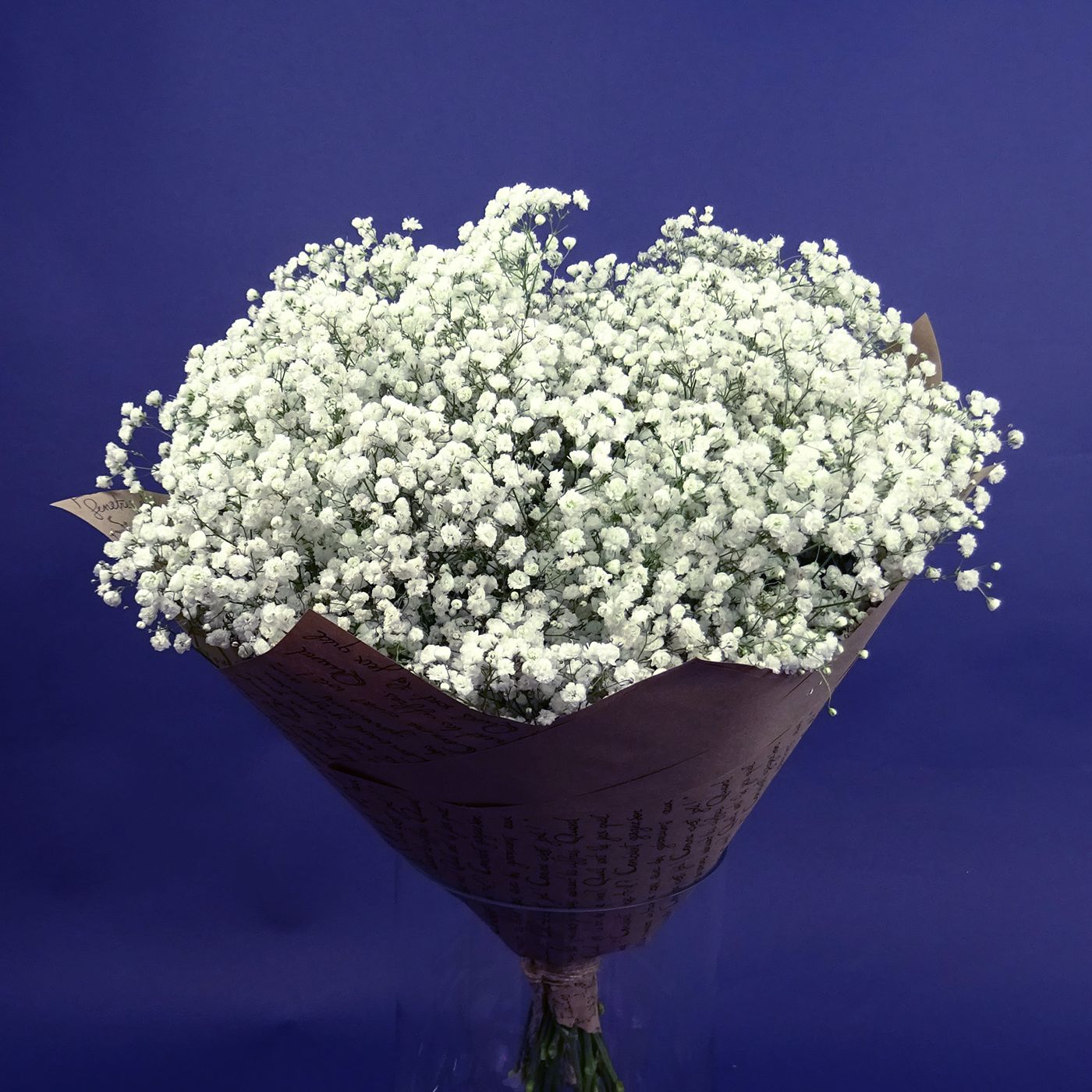 Букет из белой гипсофилы