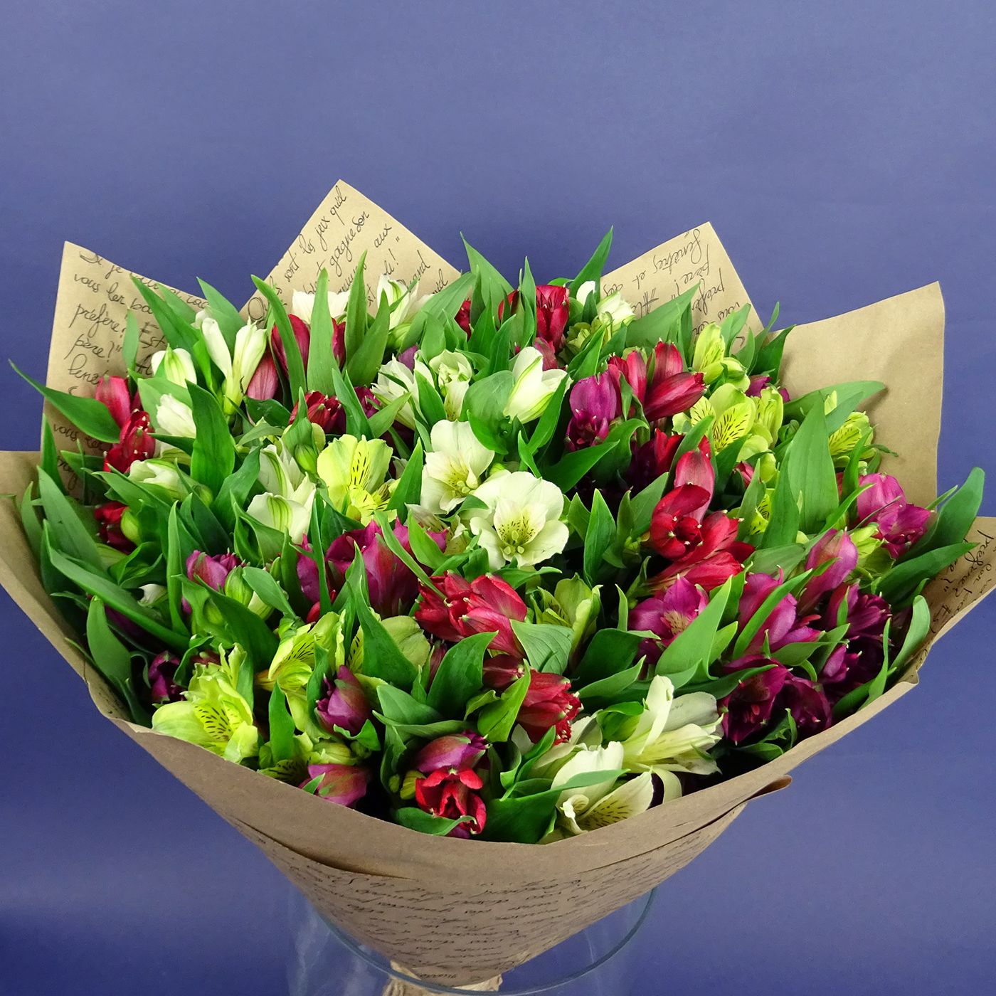 Букет из 25 альстромерий