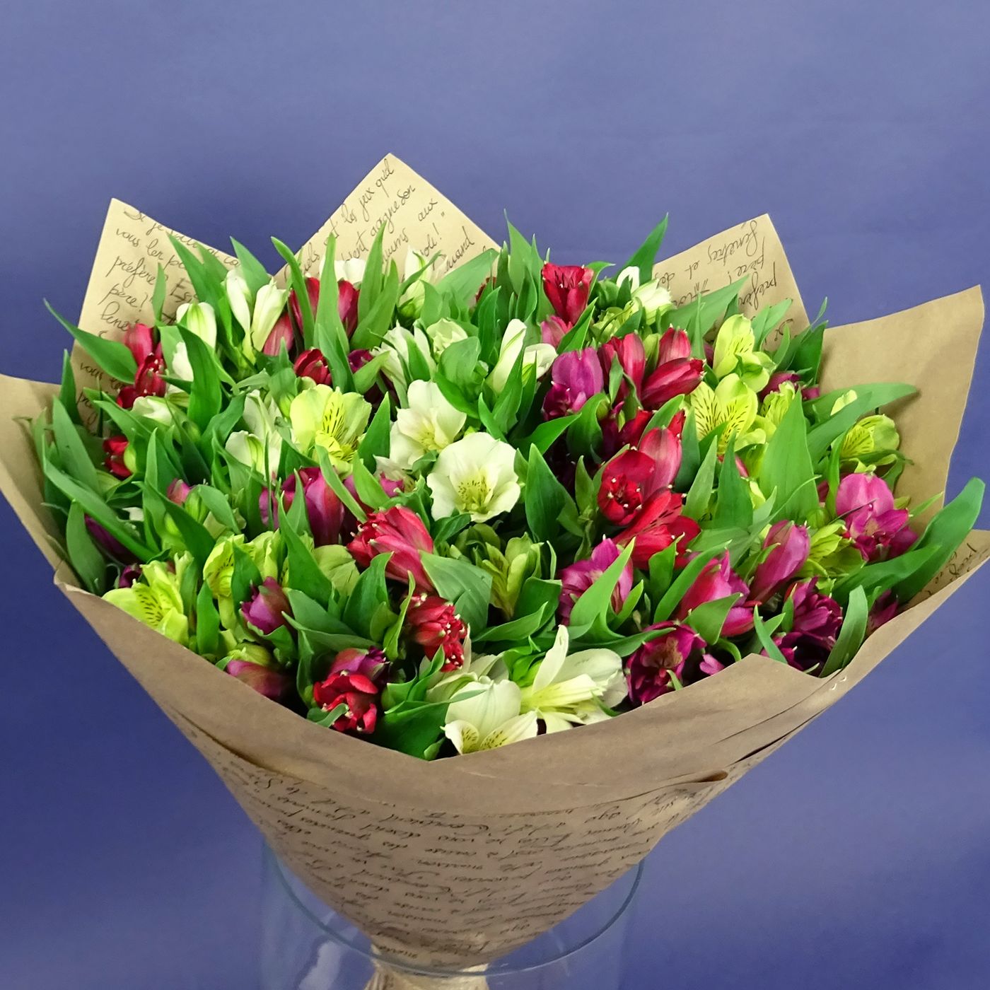 Букет из 25 альстромерий