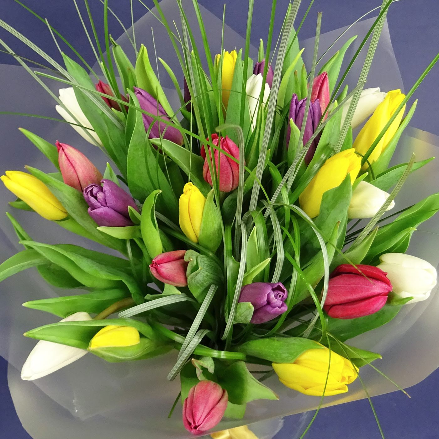 Букет из 25 тюльпанов с берграссом