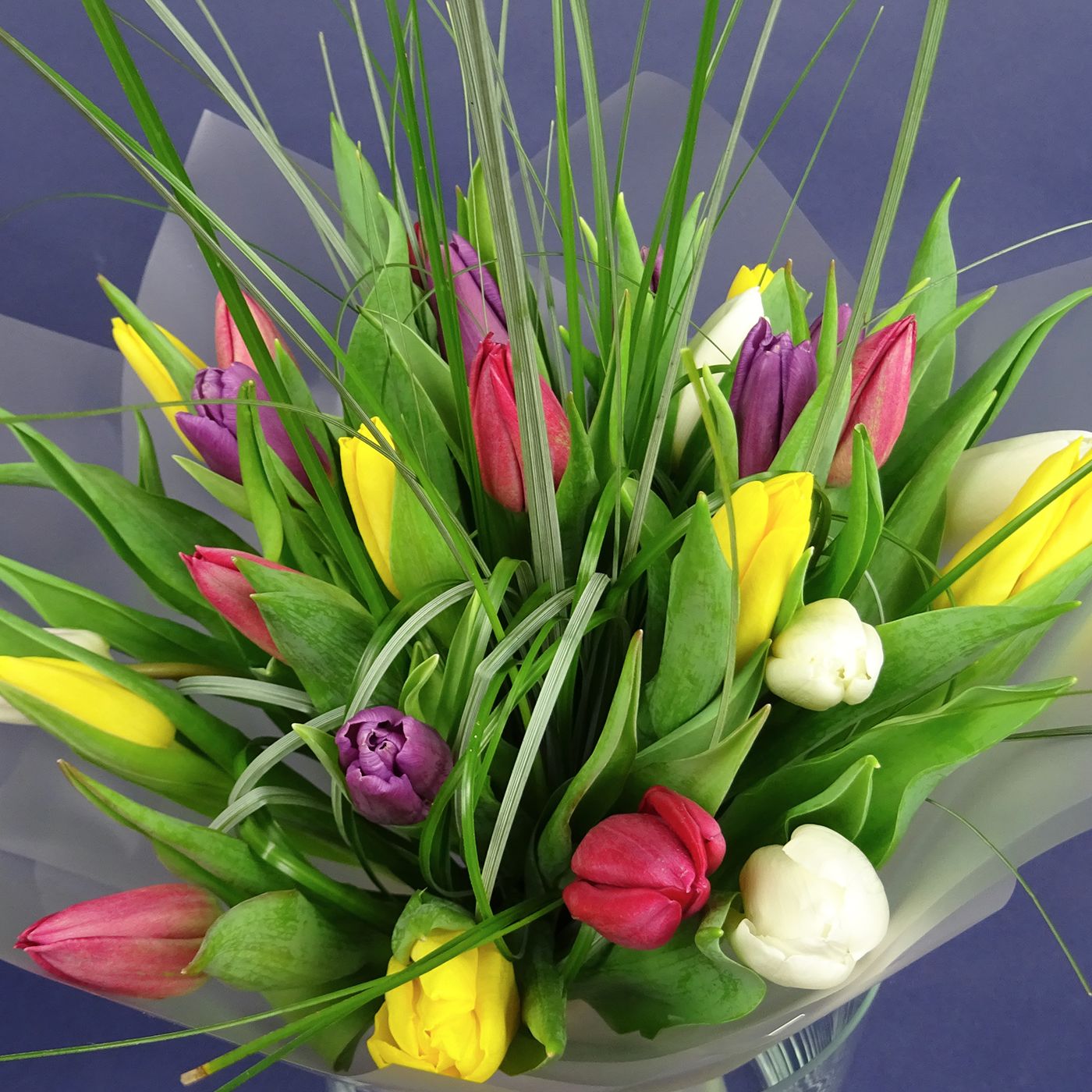 Букет из 25 тюльпанов с берграссом