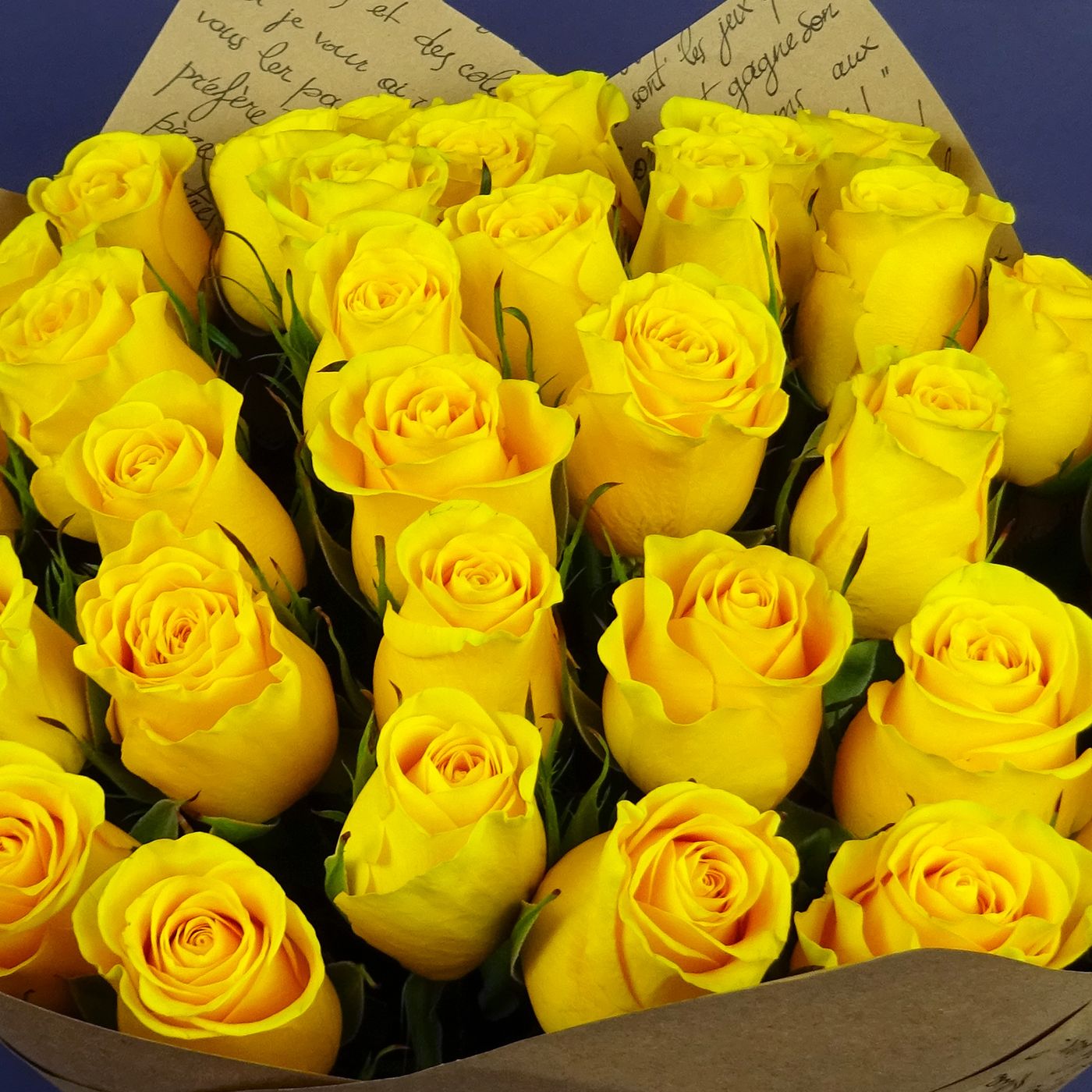 Букет из 35 жёлтых роз