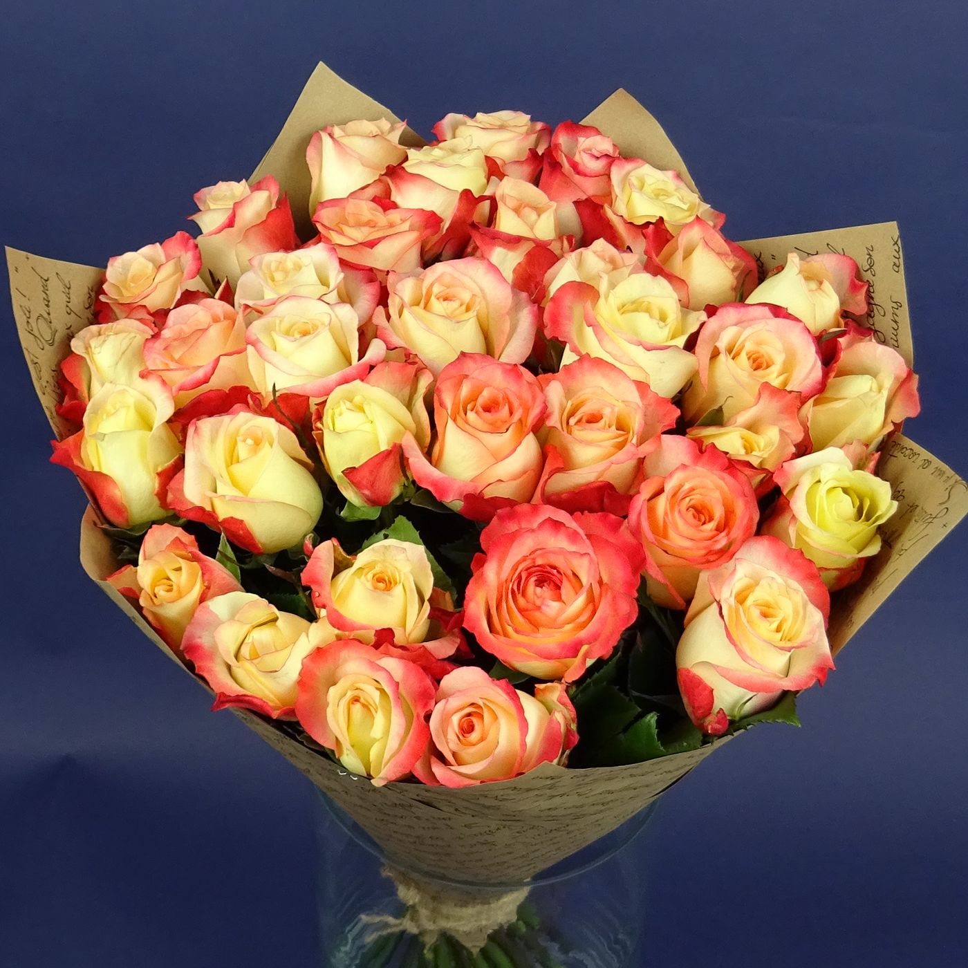 Букет Яблоки из 35 кремово-красных роз