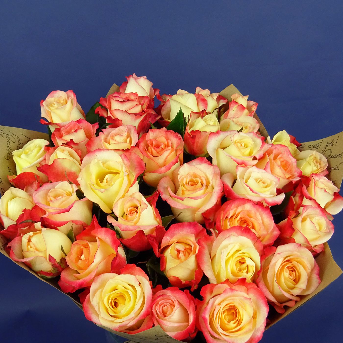 Букет Яблоки из 35 кремово-красных роз