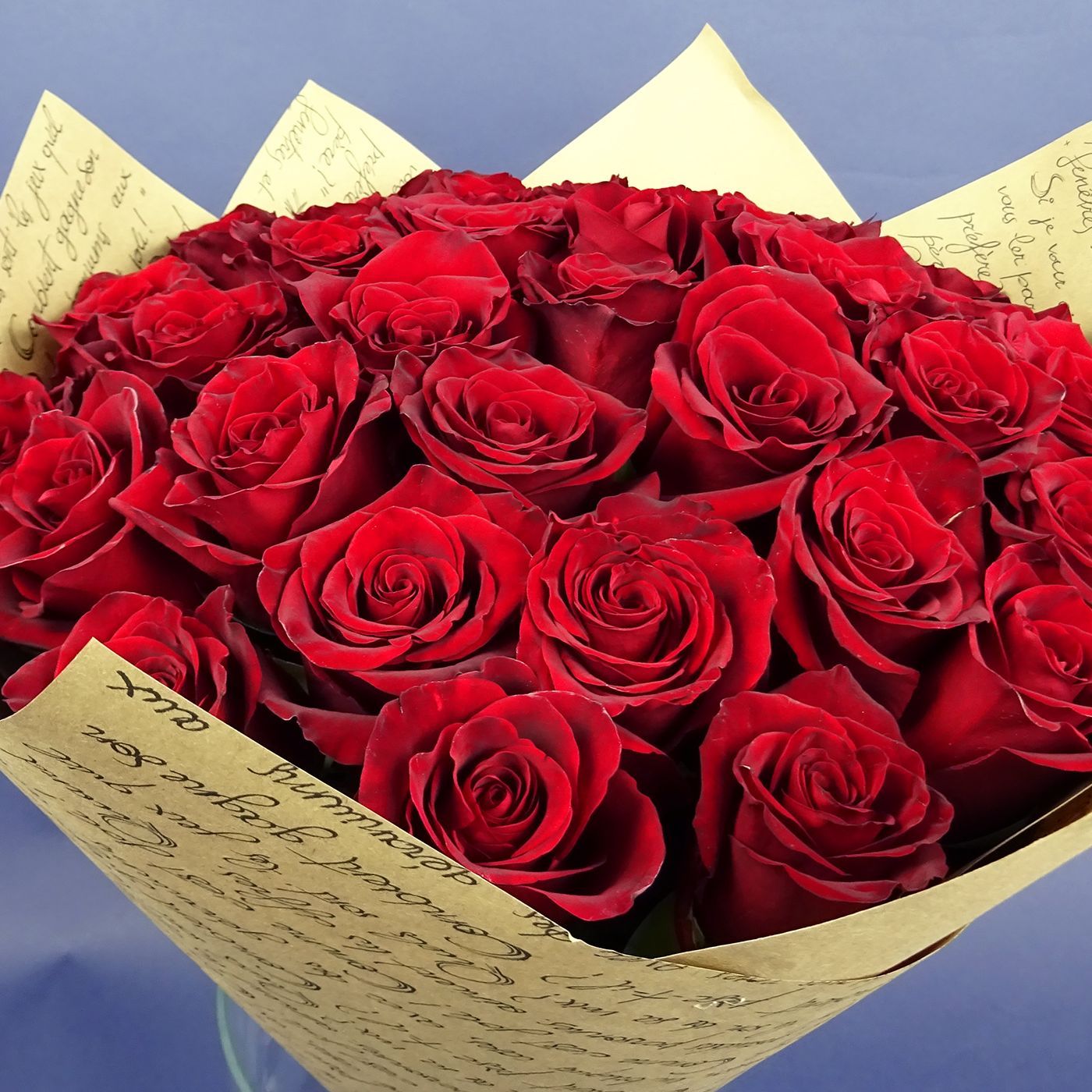 Букет из 35 бардовых роз