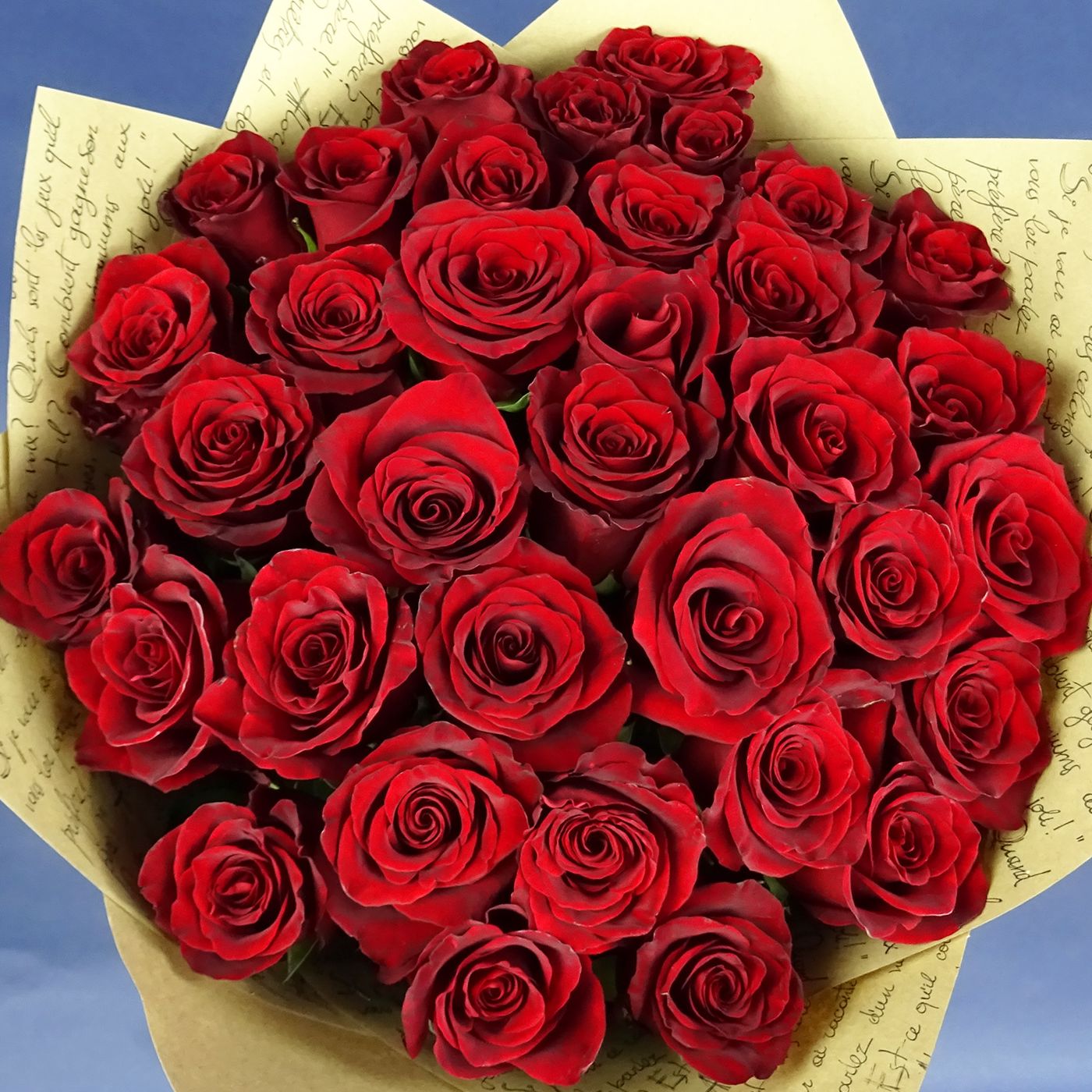 Букет из 35 бардовых роз