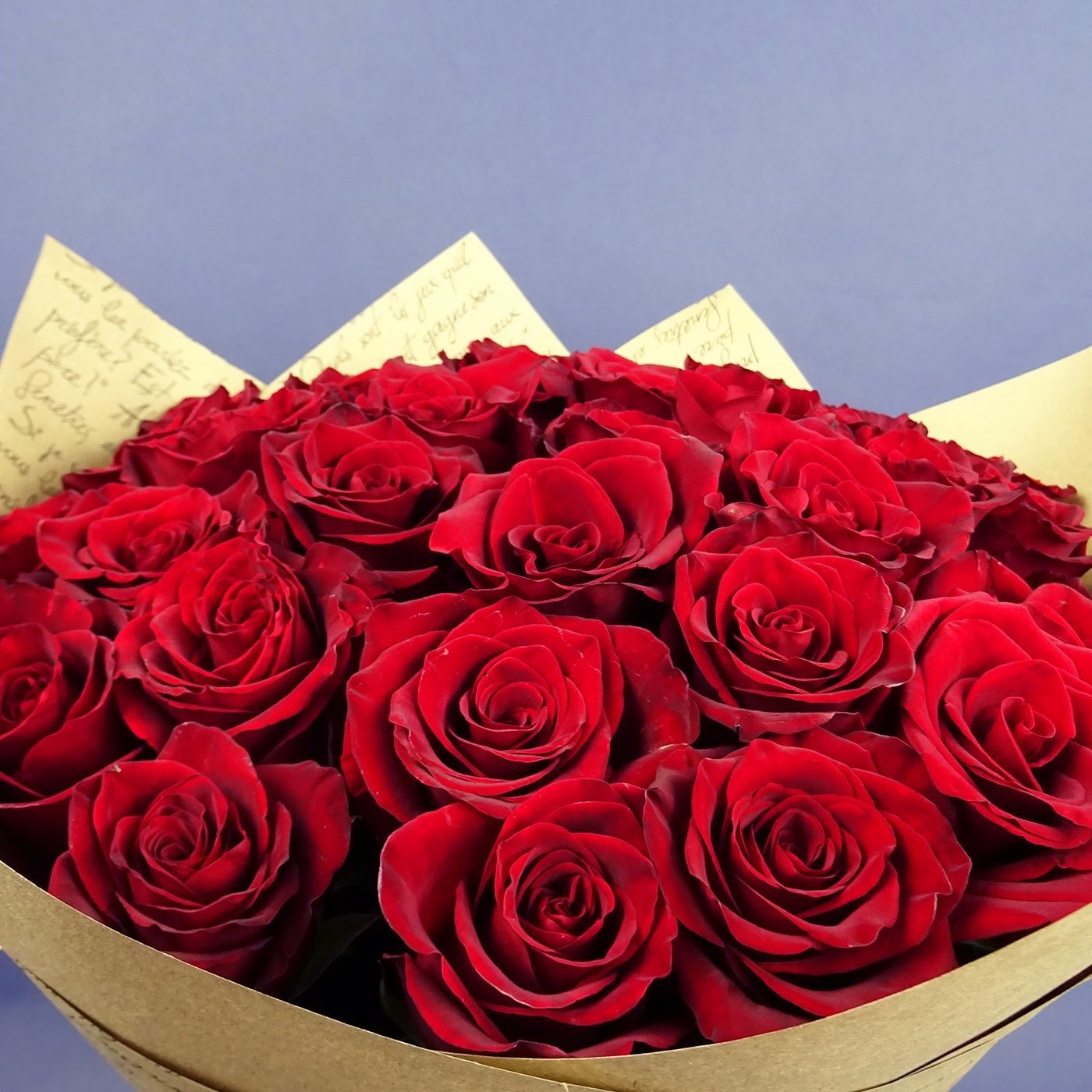 Букет из 35 бардовых роз