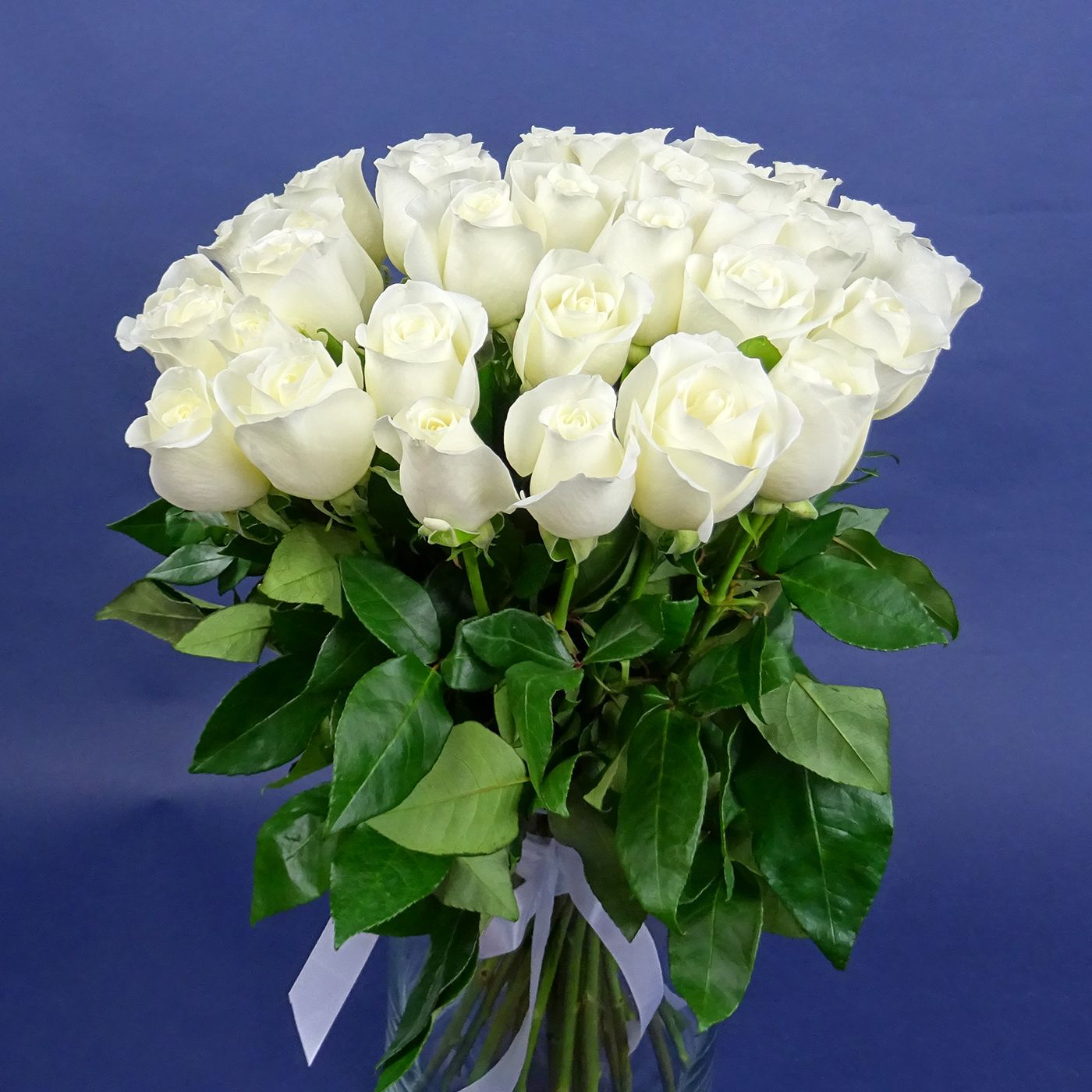 Букет из 35 белых роз