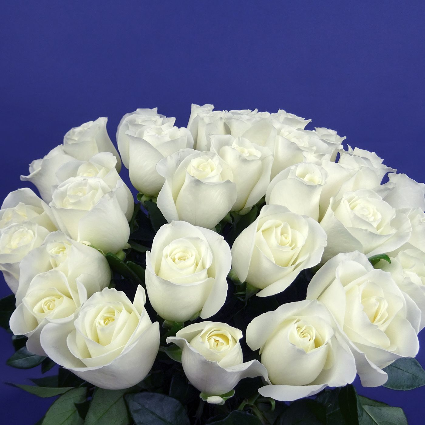 Букет из 35 белых роз