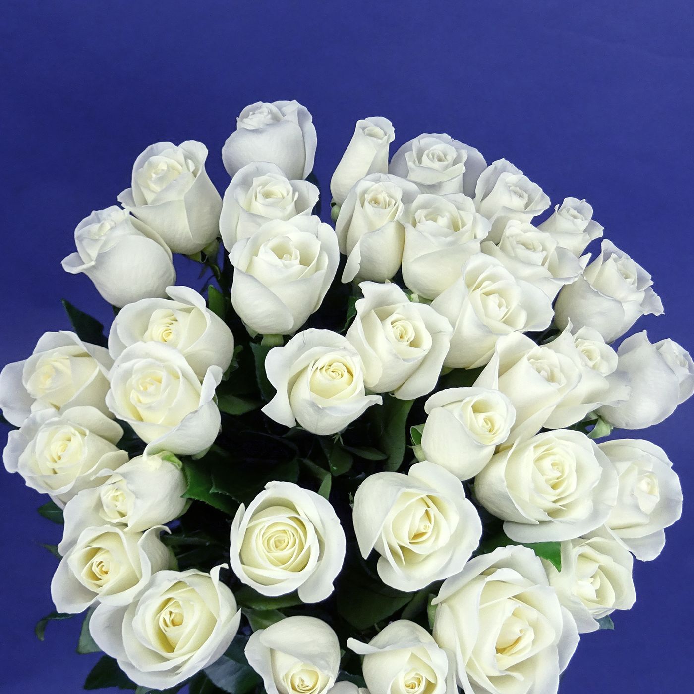 Букет из 35 белых роз