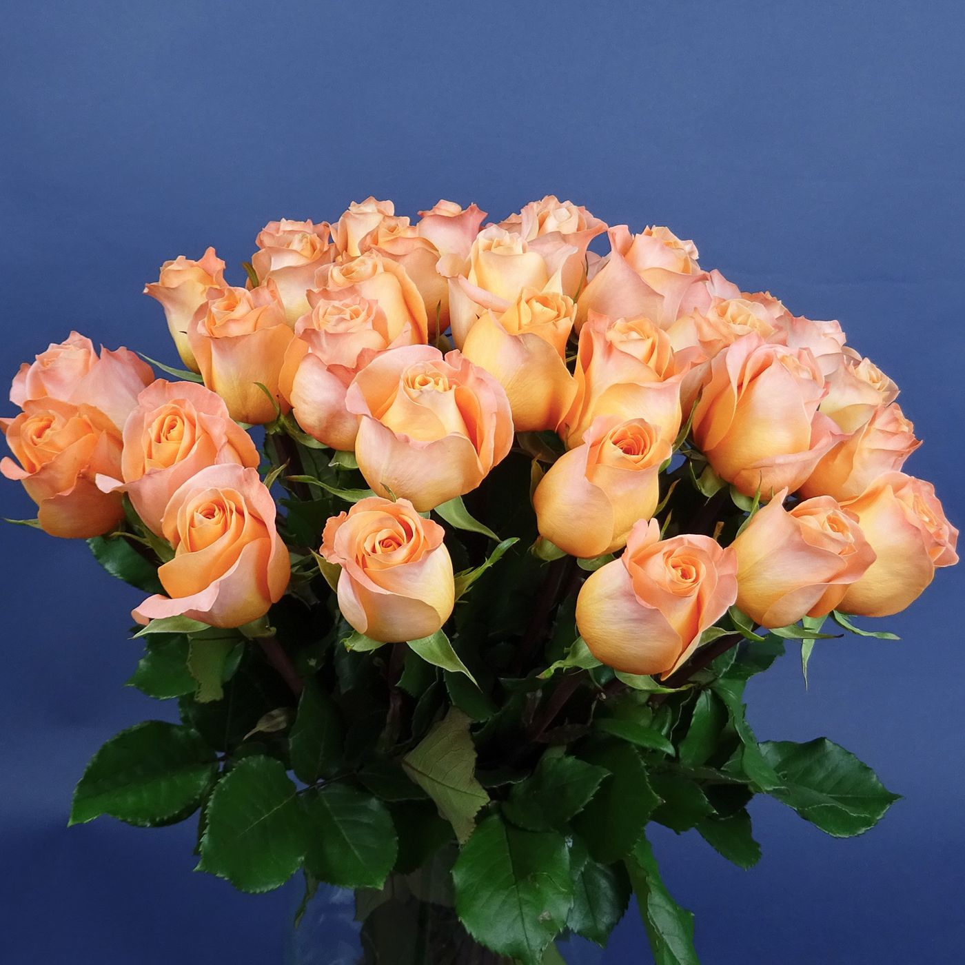 Букет из 35 янтарных роз