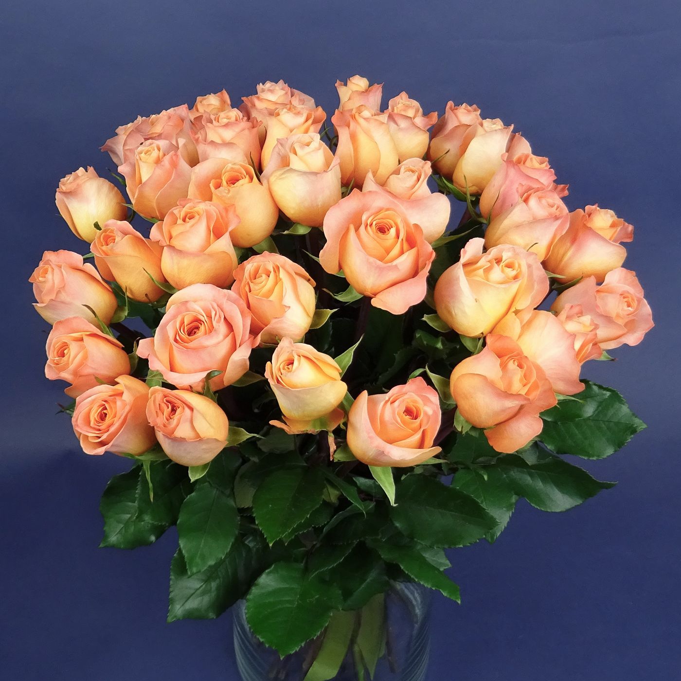 Букет из 35 янтарных роз